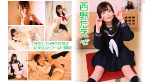 西野たえジャケット画像